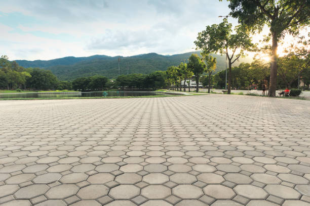 Best Interlocking Driveway Pavers  in Orting, WA